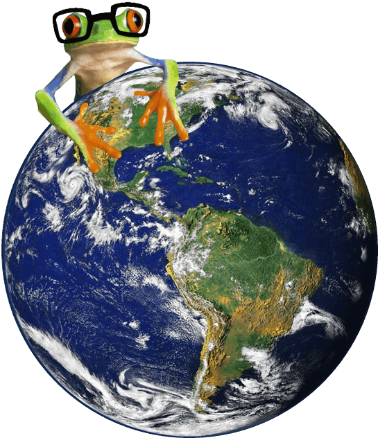 Image of Simplify Simple Frog on Earth